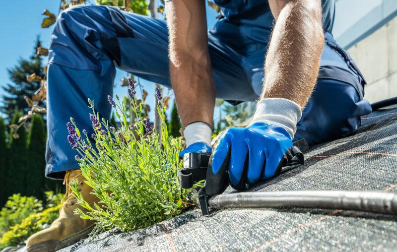 Eco-Friendly Options