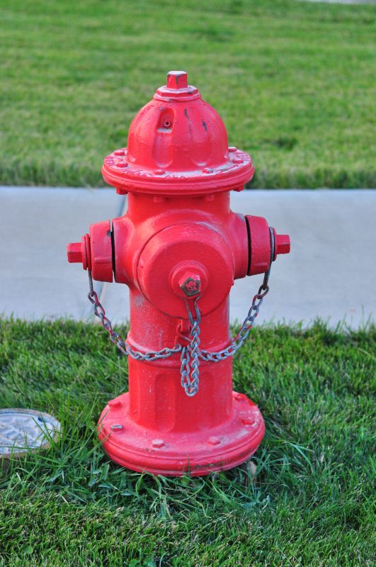 Finished Hydrant with Landscaping
