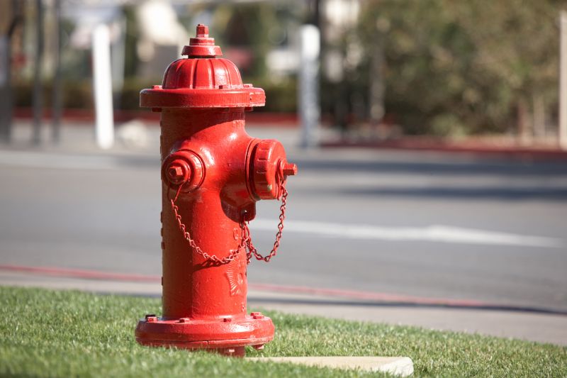 Multiple Hydrants in a Yard